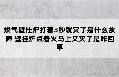 燃气壁挂炉打着3秒就灭了是什么故障 壁挂炉点着火马上又灭了是咋回事